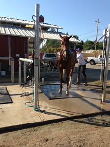 foothill horse property Wash Racks/horse property foothill ca 