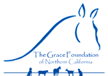 Horse Caring Organizations/
