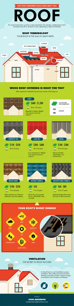 Learn Roof Lingo with This Clever Infographic/home repair home making 